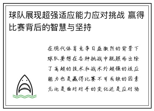 球队展现超强适应能力应对挑战 赢得比赛背后的智慧与坚持