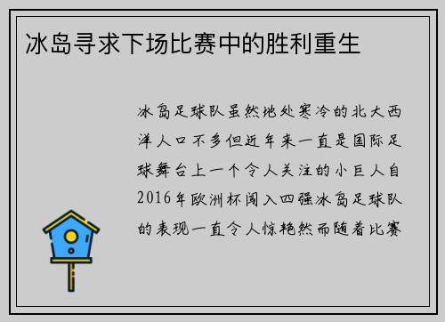 冰岛寻求下场比赛中的胜利重生